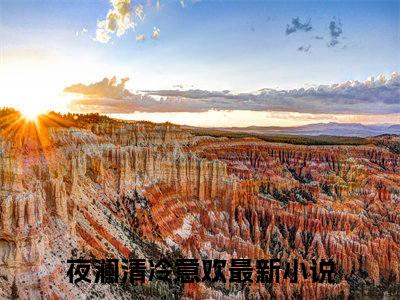 夜澜清冷意欢阅读无弹窗大结局_（夜澜清冷意欢阅读无弹窗）最新章节列表_笔趣阁（夜澜清冷意欢）