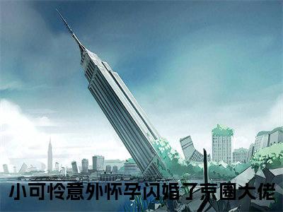 小可怜意外怀孕闪婚了京圈大佬全文免费阅读无弹窗大结局_（林妍傅时琛）小可怜意外怀孕闪婚了京圈大佬在线阅读无弹窗