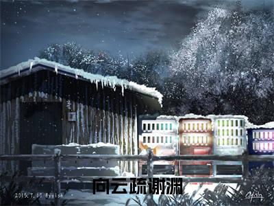 向云疏谢渊（太子不育，我偷生两宝震惊朝野）全文免费阅读无弹窗大结局_向云疏谢渊小说（太子不育，我偷生两宝震惊朝野）最新章节列表