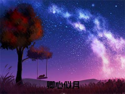 卿心似月热门小说目录推荐周辞钟筱全文完整版阅读