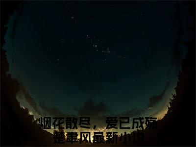 烟花散尽，爱已成殇楚聿风小说全文，烟花散尽，爱已成殇楚聿风无弹窗免费阅读