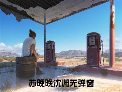 苏晚晚沈渊小说免费阅读（苏晚晚沈渊）全文免费阅读无弹窗大结局_苏晚晚沈渊小说免费阅读最新章节列表_笔趣阁（苏晚晚沈渊）