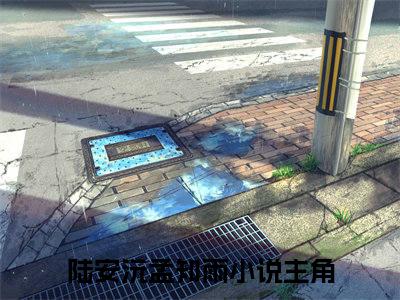陆安沅孟知雨（陆安沅孟知雨）小说全文免费阅读无弹窗大结局_陆安沅孟知雨全文在线阅读无弹窗（陆安沅孟知雨）