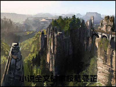 时聿桉陆蔓芷免费阅读无弹窗 时聿桉陆蔓芷最新章节