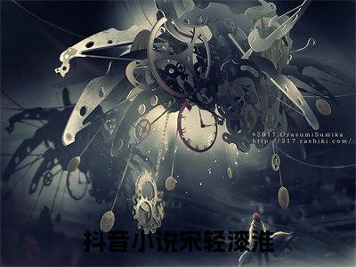 宋轻漆淮免费小说 宋轻漆淮全文阅读目录