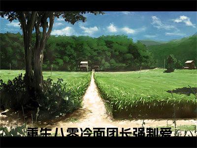 重生八零冷面团长强制爱（冯竹漪厉览泽）全集免费阅读无弹窗_（冯竹漪厉览泽小说免费阅读）_笔趣阁