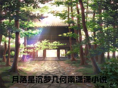 月落星沉梦几何南潇潇小说免费阅读全文在线阅读，月落星沉梦几何南潇潇的小说在线阅读全文