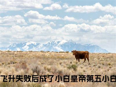 飞升失败后成了小白皇帝第五小白小说全文免费阅读 -飞升失败后成了小白皇帝第五小白在线完整版