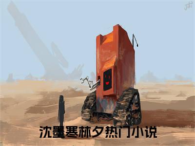 沈墨寒林夕（沈墨寒林夕全文）全文免费阅读无弹窗_沈墨寒林夕全文小说最新小说_笔趣阁（沈墨寒林夕全文）