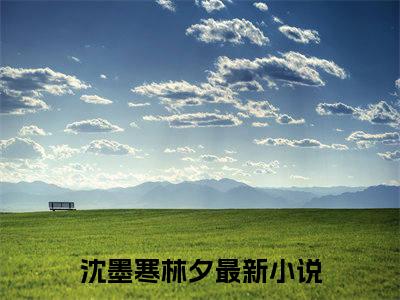 沈墨寒林夕言情推荐小说阅读-小说《沈墨寒林夕》沈墨寒林夕免费阅读