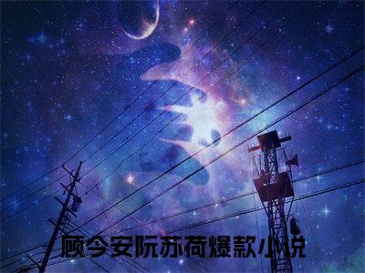顾今安阮苏荷小说（顾今安阮苏荷）全文免费阅读无弹窗大结局_顾今安阮苏荷最新章节在线阅读