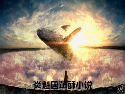 炎魁唐芷酥（新婚夜，阴鸷美人的孕肚藏不住了）全文免费阅读无弹窗大结局_（新婚夜，阴鸷美人的孕肚藏不住了）全文阅读_笔趣阁（炎魁唐芷酥）