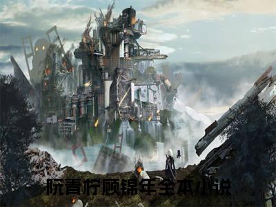阮青柠顾锦年（阮青柠顾锦年）全文免费阅读无弹窗大结局_（阮青柠顾锦年）免费阅读无弹窗最新章节列表