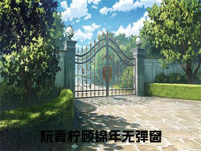 阮青柠顾锦年已完结小说《阮青柠顾锦年》在线全文阅读