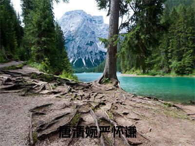 唐清婉严怀谦全文免费阅读无弹窗大结局_唐清婉严怀谦章节列表_笔趣阁