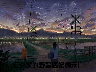 主角是王爷家的野蛮医妃的小说全文免费阅读无弹窗大结局-《柳未晞》完整章节阅读