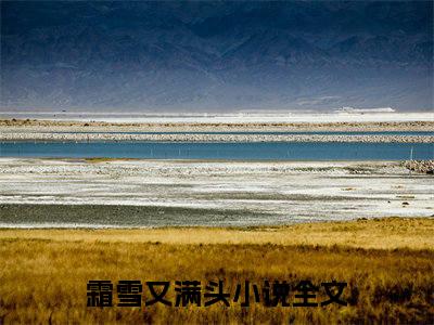 霜雪又满头全文免费阅读无弹窗大结局_（霜雪又满头阅读无弹窗）江浅月秦煜最新章节列表_笔趣阁（江浅月秦煜）