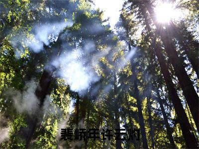 裴峤年许云灼在线阅读（互换身体后，疯批霸总杀疯娱乐圈）全文免费阅读大结局_裴峤年许云灼免费最新章节列表_笔趣阁