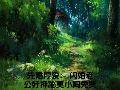 先婚厚爱： 闪婚老公好神秘莫小陶小说免费阅读-精选好书先婚厚爱： 闪婚老公好神秘莫小陶