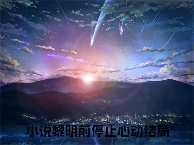 沈念傅承川全文免费阅读黎明前停止心动章节免费阅读