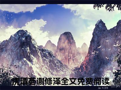 沈清荟谢修泽（八零军嫂弃夫后立志报国）新上热文小说全文免费阅读-小说（八零军嫂弃夫后立志报国）完整版阅读