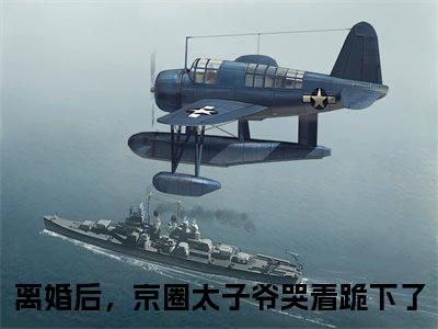 权时言千云漓全文免费阅读大结局_离婚后，京圈太子爷哭着跪下了已完结全集权时言千云漓大结局小说