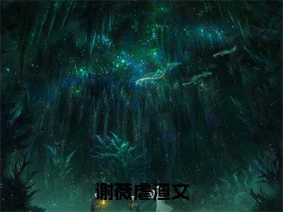一微尘里三千界（谢薇）的小说完整版免费阅读主角是（一微尘里三千界）谢薇无弹窗免费阅读