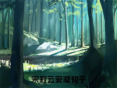 多人追的热门小说（宋寂云安凝）-宋寂云安凝小说最新章节免费阅读