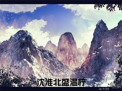 （沈淮北盛温柠）全文免费阅读无弹窗大结局_（沈淮北盛温柠阅读无弹窗）沈淮北盛温柠最新章节列表_笔趣阁（沈淮北盛温柠）