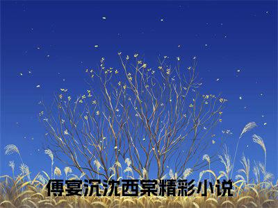 傅宴沉沈西棠（傅宴沉沈西棠）小说全文免费阅读无弹窗大结局_傅宴沉沈西棠全文在线阅读无弹窗（傅宴沉沈西棠）