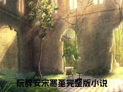 主角为阮辞安宋寒堇的小说全文完整版阅读