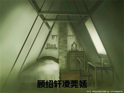 长恨春归无处寻（顾绍轩凌莞嫣）全文免费阅读无弹窗大结局-长恨春归无处寻最新章节列表免费阅读