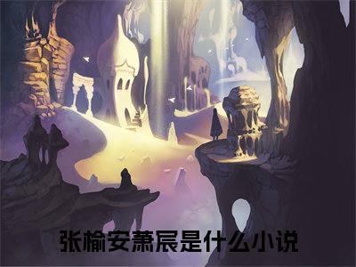张榆安萧宸最新章节在线阅读-小说全文阅读