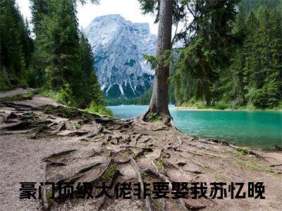 豪门顶级大佬非要娶我苏忆晚小说精彩章节-主角为豪门顶级大佬非要娶我苏忆晚在线阅读