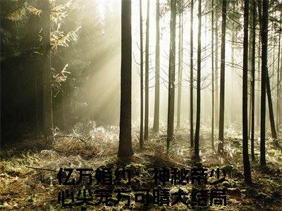 亿万婚约：神秘帝少心尖宠方可晴小说哪里能看-小说推荐亿万婚约：神秘帝少心尖宠方可晴精彩章节在线阅读