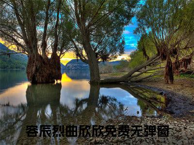 容辰烈曲欣欣全文免费阅读无弹窗大结局_(容辰烈曲欣欣免费阅读)容辰烈曲欣欣最新章节列表_笔趣阁