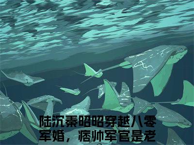 陆沉秦昭昭小说全文（穿越八零军婚，痞帅军官是老婆迷）在线阅读-陆沉秦昭昭全文免费阅读无弹窗大结局（陆沉秦昭昭后续+免费）