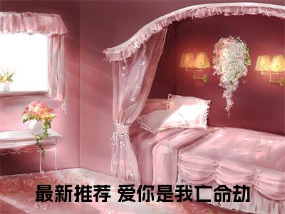 顾念（爱你是我亡命劫）小说全文免费阅读无弹窗大结局_顾念全文在线阅读无弹窗