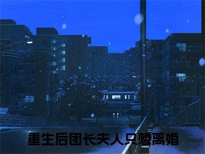顾鸿业宋今禾（重生后团长夫人只想离婚）小说精彩免费内容_顾鸿业宋今禾最新章节全文阅读（重生后团长夫人只想离婚）