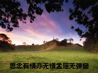 思念有情亦无情孟瑶全文免费阅读_思念有情亦无情孟瑶无弹窗最新章节