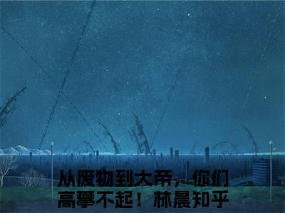 从废物到大帝，你们高攀不起！林晨的小说全文免费阅读无弹窗，主角名字是从废物到大帝，你们高攀不起！林晨的小说在线免费阅读大结局