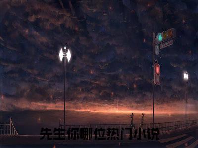 先生你哪位（梁芷安杭南宇）全文免费阅读无弹窗大结局_先生你哪位小说全文大结局