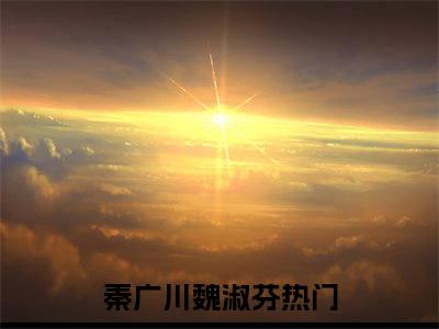 （秦军长，我错了）秦广川魏淑芬小说全文免费_（秦军长，我错了）最新章节列表笔趣阁