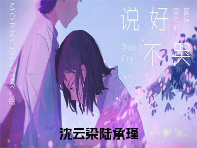 沈云染陆承瑾（那朵云曾来过）全文免费阅读无弹窗大结局_沈云染陆承瑾最新章节列表_笔趣阁（那朵云曾来过）
