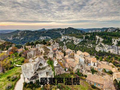 顾寒声温栀（顾寒声温栀）免费阅读完整版-顾寒声温栀全文大结局已完结