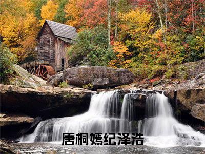 （唐桐嫣纪泽浩小说）唐桐嫣纪泽浩小说免费最新章节列表_笔趣阁（唐桐嫣纪泽浩小说）
