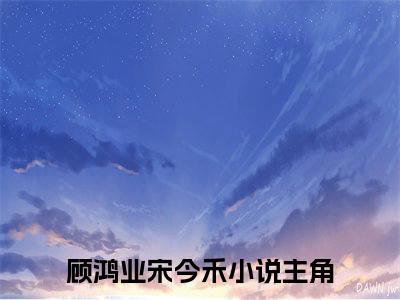 顾鸿业宋今禾小说免费阅读完整版全文大结局