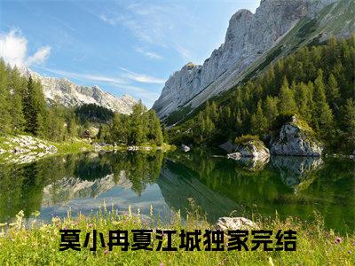 莫小冉夏江城(莫小冉夏江城小说)全文免费阅读无弹窗大结局-莫小冉夏江城小说最新章节列表_笔趣阁
