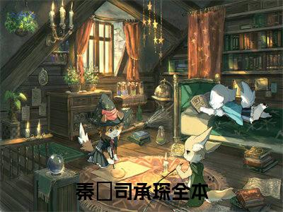 秦婳司承琛小说全文-秦婳司承琛小说免费阅读大结局