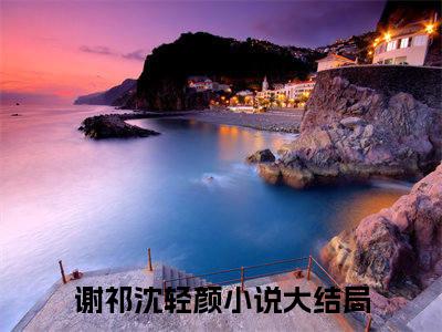 谢祁沈轻颜免费版最新更新阅读-他们的感情好像走到头了小说全文在线阅读